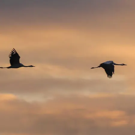Apartment Perisse, Le Petit