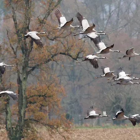 Perisse, Le Petit Apartment *