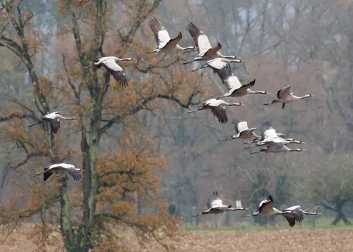 Perisse, Le Petit 아파트 *
