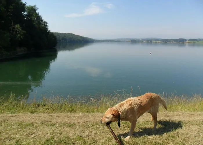 Perisse, Le Petit * Libaros